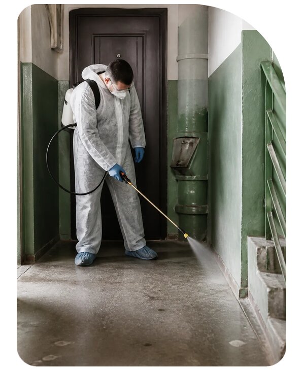 Обработка подъезда от тараканов в Кимовске — от 5154 р. | Сенат-Кмв
